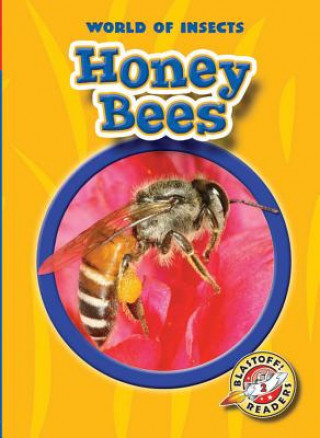 Buch Honey Bees Colleen A. Sexton