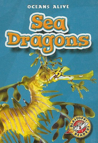 Kniha Sea Dragons David Schach