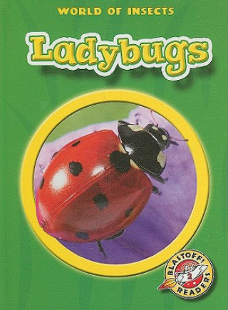 Könyv Ladybugs Martha E. H. Rustad