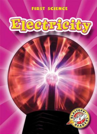 Knjiga Electricity Mari C. Schuh