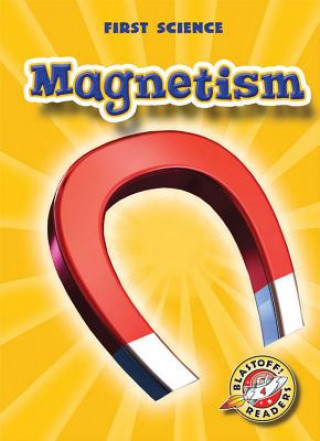 Kniha Magnetism Mari C. Schuh