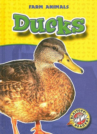 Livre Ducks Hollie J. Endres