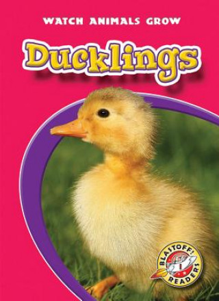 Buch Ducklings Colleen A. Sexton