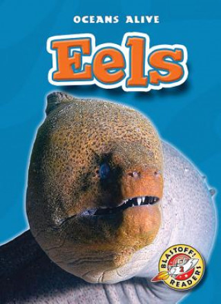 Книга Eels Derek Zobel