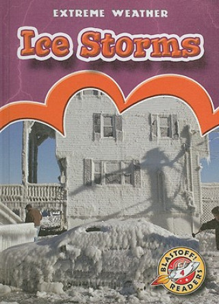 Книга Ice Storms Anne Wendorff