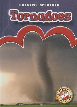 Buch Tornadoes Anne Wendorff