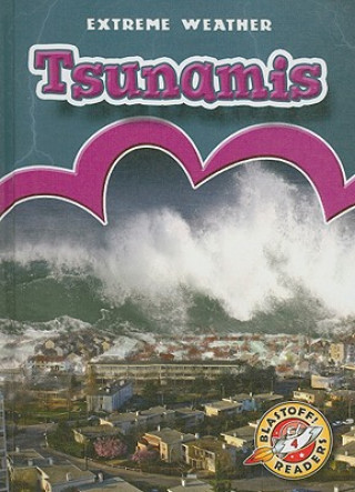 Kniha Tsunamis Anne Wendorff