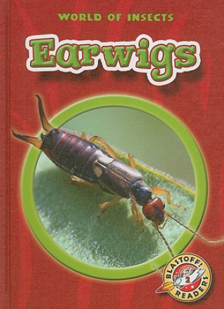 Book Earwigs Colleen A. Sexton