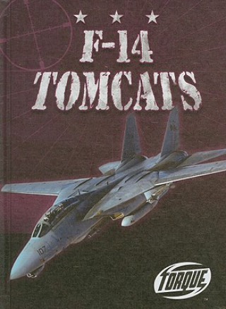 Kniha F-14 Tomcats Jack David