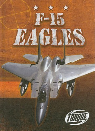 Carte F-15 Eagles Jack David