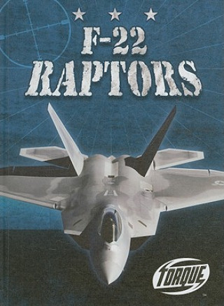 Книга F-22 Raptors Derek Zobel