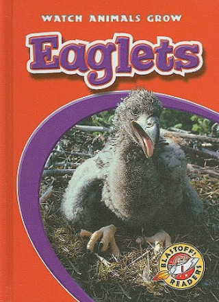 Carte Eaglets Anne Wendorff