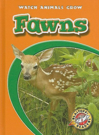 Book Fawns Anne Wendorff
