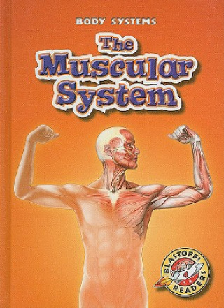 Kniha The Muscular System Kay Manolis