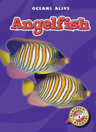 Książka Angelfish Colleen A. Sexton