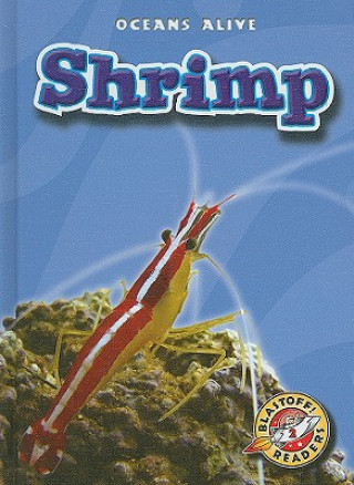 Knjiga Shrimp Colleen A. Sexton