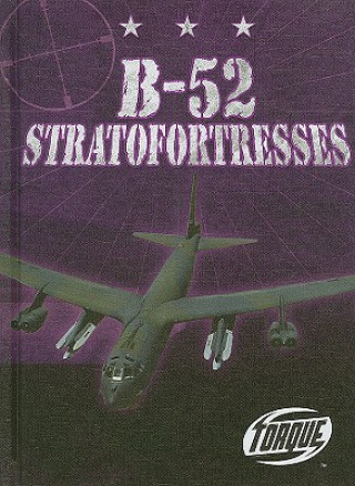 Книга B-52 Stratofortresses Jack David