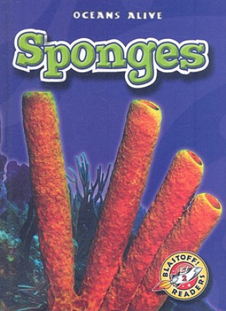 Book Sponges Colleen A. Sexton