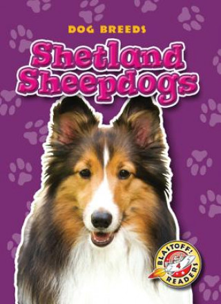 Книга Shetland Sheepdogs Anne Wendorff