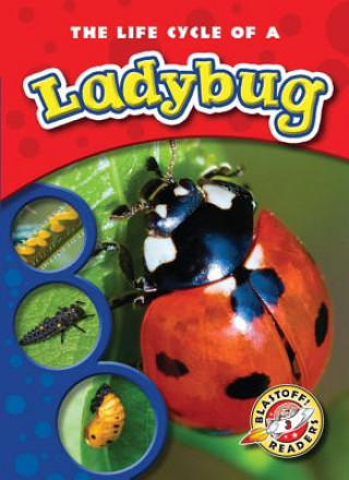 Libro The Life Cycle of a Ladybug Colleen A. Sexton