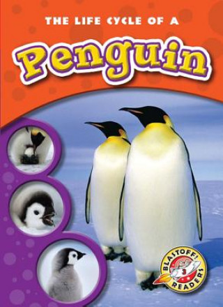 Книга The Life Cycle of a Penguin Colleen A. Sexton