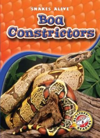 Kniha Boa Constrictors Colleen Sexton