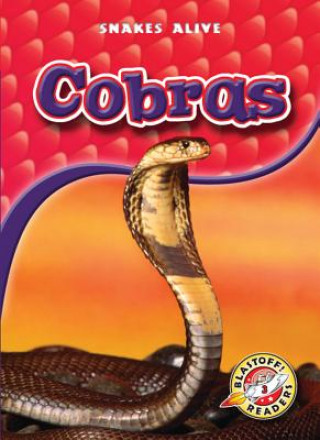 Kniha Cobras Colleen Sexton