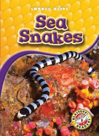 Boek Sea Snakes Colleen Sexton