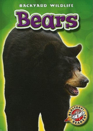 Libro Bears Emily Green