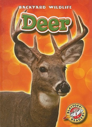 Carte Deer Derek Zobel