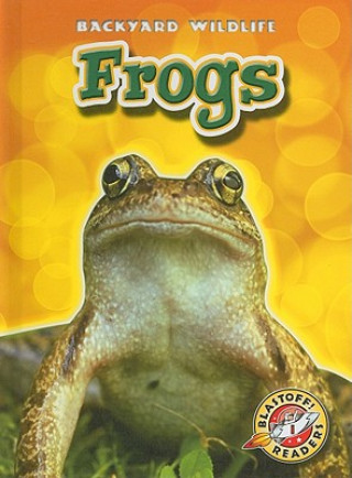 Kniha Frogs Emily Green