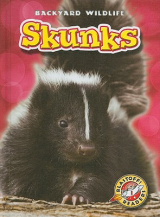 Kniha Skunks Emily Green