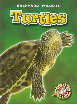 Kniha Turtles Emily Green