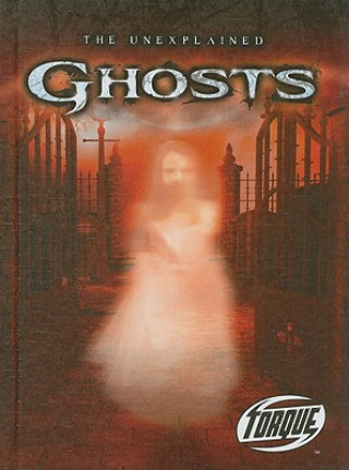 Book Ghosts Adam Stone