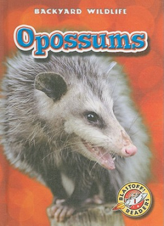 Kniha Opossums Emily K. Green