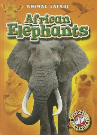 Carte African Elephants Kari Schuetz