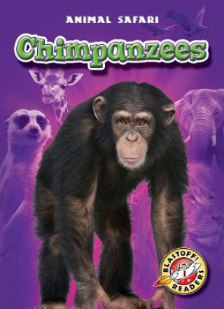Boek Chimpanzees Derek Zobel