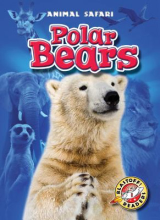 Carte Polar Bears Kari Schuetz