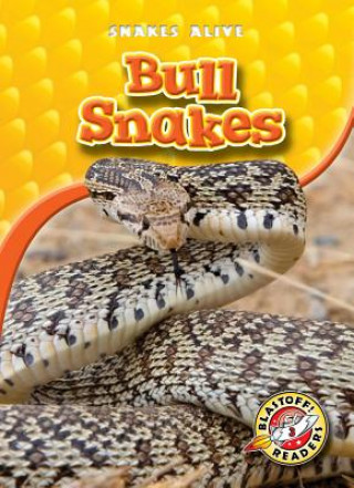 Carte Bull Snakes Ellen Frazel