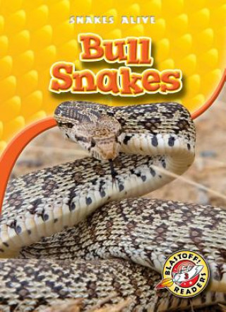 Kniha Bull Snakes Ellen Frazel