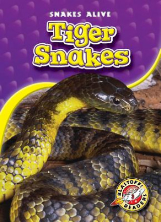 Buch Tiger Snakes Ellen Frazel