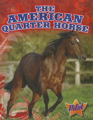 Kniha The American Quarter Horse Ellen Frazel