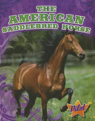 Kniha The American Saddlebred Horse Rachel A. Koestler-Grack