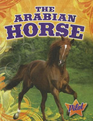 Carte The Arabian Horse Sara Green