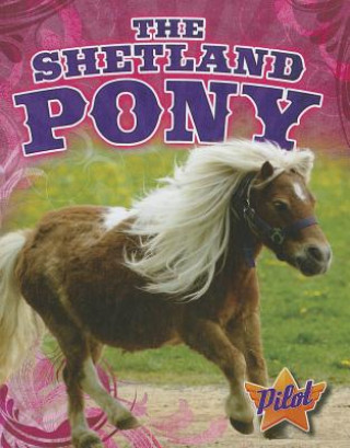 Livre The Shetland Pony Sara Green