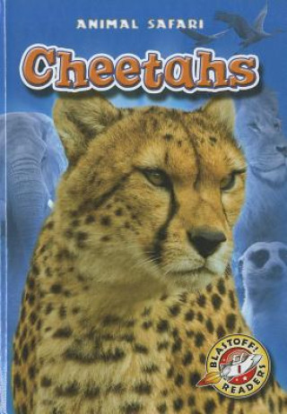 Libro Cheetahs Megan Borgert-Spaniol