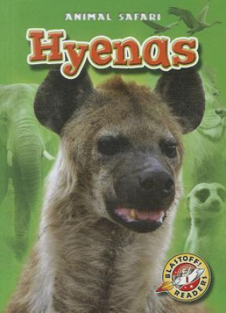 Książka Hyenas Kari Schuetz