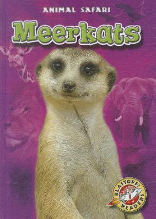 Könyv Meerkats Kari Schuetz