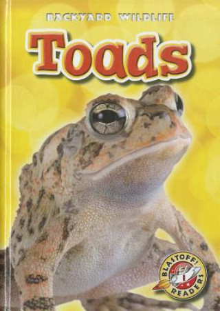 Carte Toads Kari Schuetz