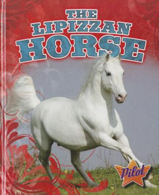 Book The Lipizzan Horse Sara Green